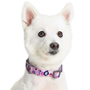 Blueberry Pet Essentials Spring Scent Inspired Garden Floral Adjustable Dog Collar in Light Purple, Medium, Neck 14.5"-20"