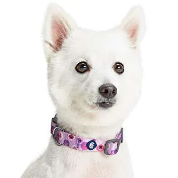 Blueberry Pet Essentials Spring Scent Inspired Garden Floral Adjustable Dog Collar in Light Purple, Medium, Neck 14.5"-20"