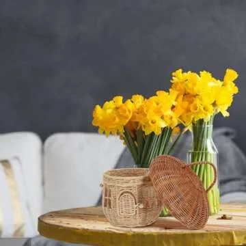 ARTIBETTER Rattan Storage Basket Mushroom Shape Decorative Woven Basket Fruit Basket Wall Hanging Storage Basket with Lid Photo Prop Kids Room Decoration Box