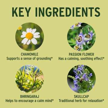 Banyan Botanicals Tranquil Mind – Organic Supplement with Guduchi, Gotu Kola & Skullcap – Supports Occasional Anxiousness & Promotes a Sense of Calm * – 90 Tablets – Non-GMO Sustainably Sourced Vegan