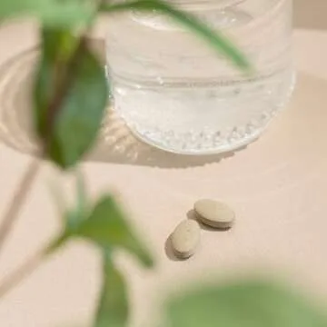 Banyan Botanicals Tranquil Mind – Organic Supplement with Guduchi, Gotu Kola & Skullcap – Supports Occasional Anxiousness & Promotes a Sense of Calm * – 90 Tablets – Non-GMO Sustainably Sourced Vegan