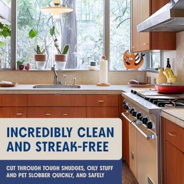 Aunt Fannie's Stainless Steel Spray Cleaner, Powered by Vinegar, Fingerprint and Residue Remover for Refrigerator, Dishwasher, Oven, Grill, Sink, Stovetop, and Other Appliances, Pack of 1
