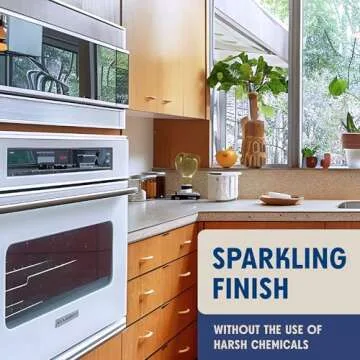 Aunt Fannie's Stainless Steel Spray Cleaner, Powered by Vinegar, Fingerprint and Residue Remover for Refrigerator, Dishwasher, Oven, Grill, Sink, Stovetop, and Other Appliances, Pack of 1