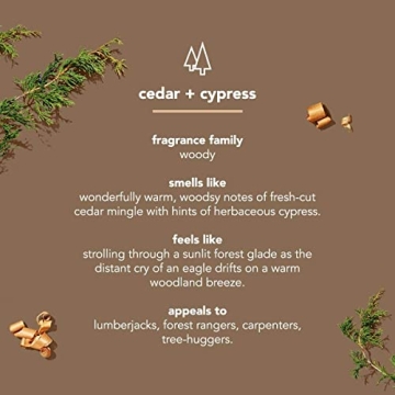 Method Men Body Wash - Cedar + Cypress, Eco-Friendly & Free from Harsh Chemicals