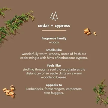 Method Men Body Wash - Cedar + Cypress, Eco-Friendly & Free from Harsh Chemicals