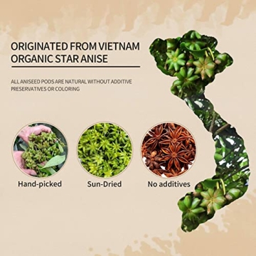 Organic Star Anise Pods - Fresh & Aromatic Spice