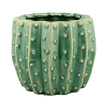 Stonebriar Cactus Flower Planter for Herbs and Succulents