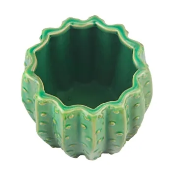 Stonebriar Cactus Flower Planter for Herbs and Succulents