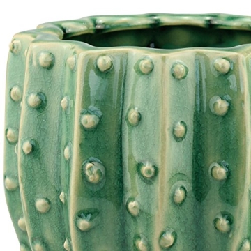 Stonebriar Cactus Flower Planter for Herbs and Succulents