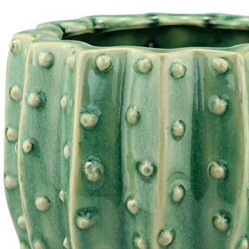 Stonebriar Cactus Flower Planter for Herbs and Succulents