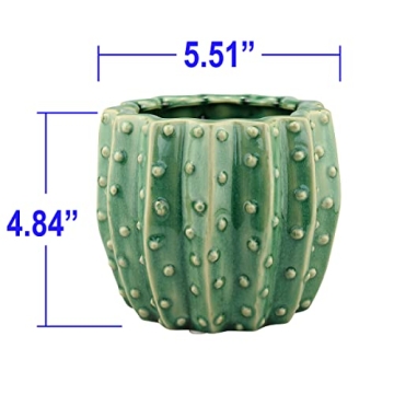 Stonebriar Cactus Flower Planter for Herbs and Succulents