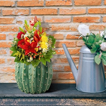 Stonebriar Cactus Flower Planter for Herbs and Succulents