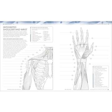 The Human Body Coloring Book: The Ultimate Anatomy Study Guide, Second Edition (DK Human Body Guides...