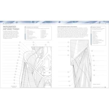 Human Body Coloring Book: Ultimate Anatomy Guide