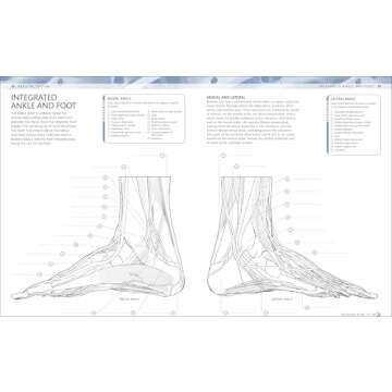 Human Body Coloring Book: Ultimate Anatomy Guide