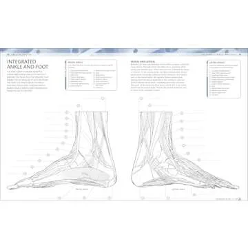 Human Body Coloring Book: Ultimate Anatomy Guide