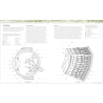 Human Body Coloring Book: Ultimate Anatomy Guide