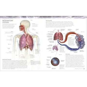Human Body Coloring Book: Ultimate Anatomy Guide