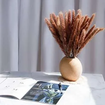 IBAZHA 60pcs Small Pampas Grass for Chic Home Decor