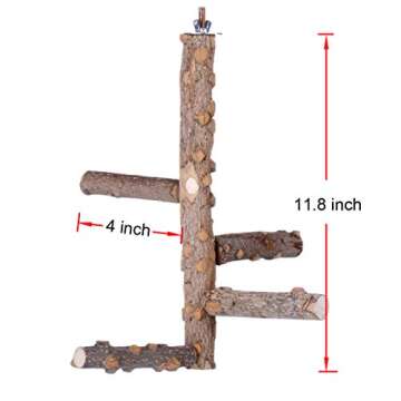 Bird Perch Nature Wood Stand for 3-4pcs Small Medium Parrots (S)