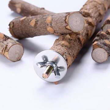 Bird Perch Nature Wood Stand for 3-4pcs Small Medium Parrots (S)