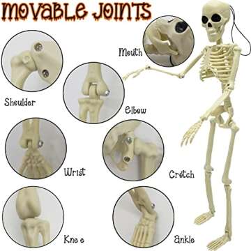 CAMIRUS 6PCS Skeleton Halloween Decorations, 16 in Full Body Poseable Small Skeleton Plastic Bones with Movable Posable Joints for Halloween Indoor Outdoor Party, Graveyard, Haunted House Accessories