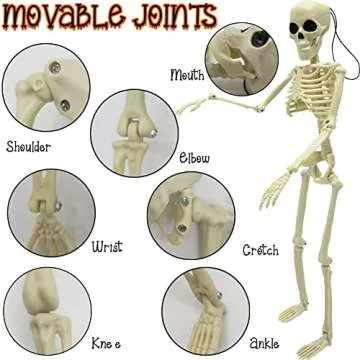 CAMIRUS 6PCS Skeleton Halloween Decorations, 16 in Full Body Poseable Small Skeleton Plastic Bones with Movable Posable Joints for Halloween Indoor Outdoor Party, Graveyard, Haunted House Accessories
