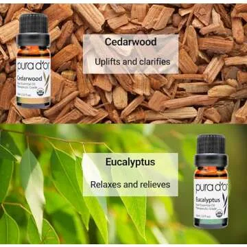 PURA D'OR Organic Essential Oils Set 10x10mL Aromatherapy Gift