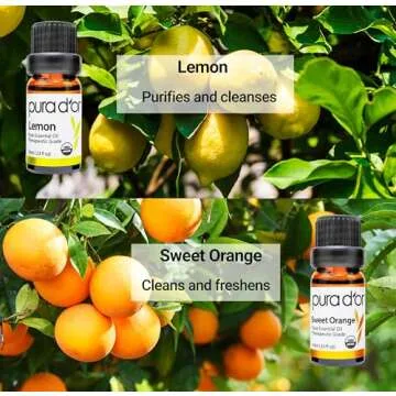 PURA D'OR Organic Essential Oils Set 10x10mL Aromatherapy Gift