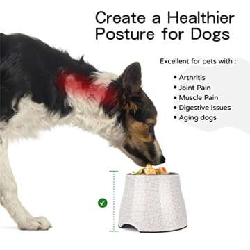 Flexzion Elevated Dog Bowl - Single, Stainless Steel, Non-Slip, Comfortable, 900ml Capacity, 31 fl oz, Sleek Design, Durable