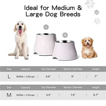 Flexzion Elevated Dog Bowl - Single, Stainless Steel, Non-Slip, Comfortable, 900ml Capacity, 31 fl oz, Sleek Design, Durable