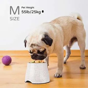 Flexzion Elevated Dog Bowl - Single, Stainless Steel, Non-Slip, Comfortable, 900ml Capacity, 31 fl oz, Sleek Design, Durable