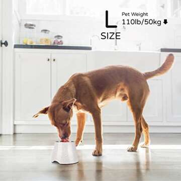 Flexzion Elevated Dog Bowl - Single, Stainless Steel, Non-Slip, Comfortable, 900ml Capacity, 31 fl oz, Sleek Design, Durable