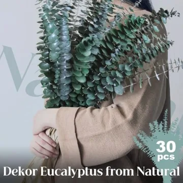 Preserved Eucalyptus Stems - 30Pcs for Home Decor & Relaxation