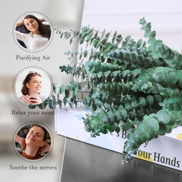 Preserved Eucalyptus Stems - 30Pcs for Home Decor & Relaxation