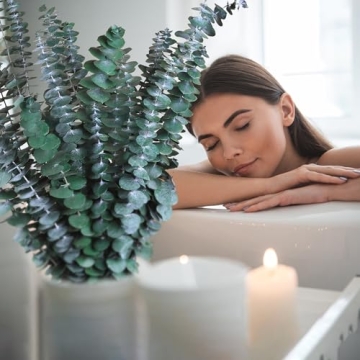 Preserved Eucalyptus Stems - 30Pcs for Home Decor & Relaxation