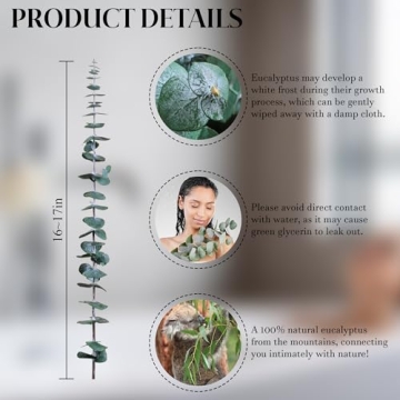 Preserved Eucalyptus Stems - 30Pcs for Home Decor & Relaxation