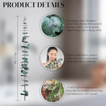 Preserved Eucalyptus Stems - 30Pcs for Home Decor & Relaxation