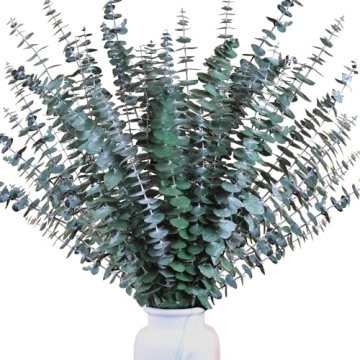 Preserved Eucalyptus Stems - 30Pcs for Home Decor & Relaxation