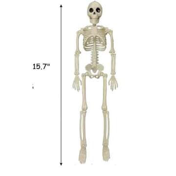MLLXX Halloween Skeleton Decoration Outdoor Indoor, Plastic Full Body 16" Skeleton with Posable Mova...