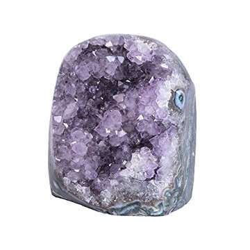 AMOYSTONE Natural Amethyst Quartz Cluster 1-2 LBS Crystal Stone Purple Polished Irregular D Grade for Office Home Decoration