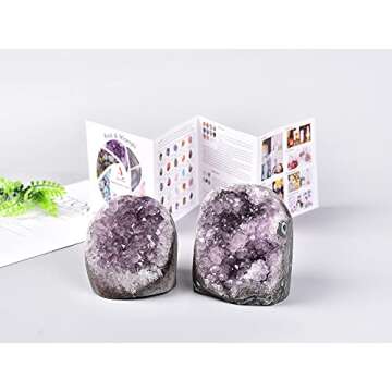 AMOYSTONE Natural Amethyst Quartz Cluster 1-2 LBS Crystal Stone Purple Polished Irregular D Grade for Office Home Decoration