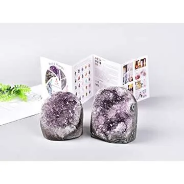 AMOYSTONE Natural Amethyst Quartz Cluster 1-2 LBS Crystal Stone Purple Polished Irregular D Grade for Office Home Decoration