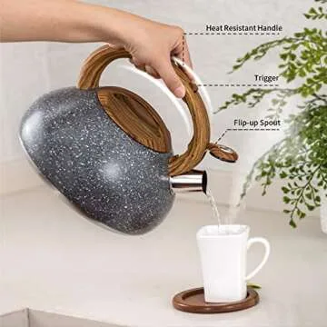 Tiilan Tea Kettle for Stovetop, Whistling Stainless Steel Kettle, 2.7 Quart