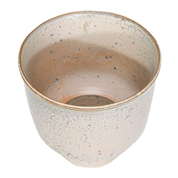 Creative Co-Op Unique Champagne Planter for Home Decor