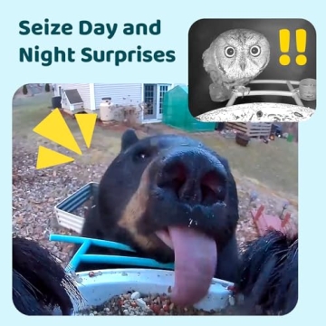 NETVUE Smart Bird Feeder with HD Camera for Nature Lovers