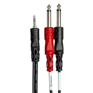 Hosa Technology 2x 10' Stereo 3.5mm Mini Male to Two Mono 1/4in Phone Plugs, Breakout Y-Cable