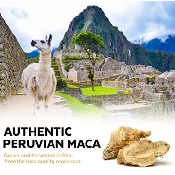 Viva Naturals Organic Maca Powder for Energy and Wellness