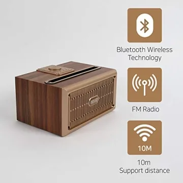 SEVIZ Gold Retro Bluetooth Speaker 20W Mono Sound Vintage