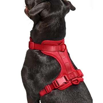 Wild One Harness 2.0 - Small - Strawberry